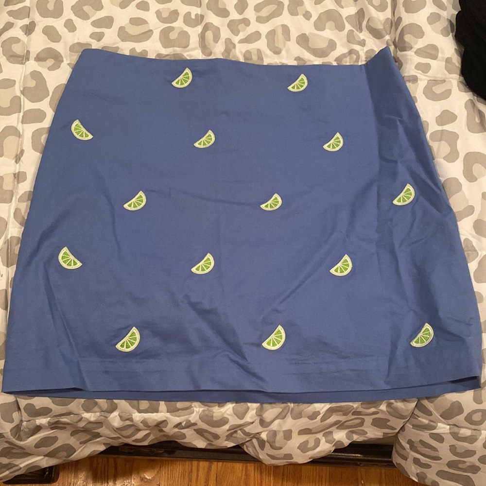 Vineyard Vines blue skirt with limes Size 6